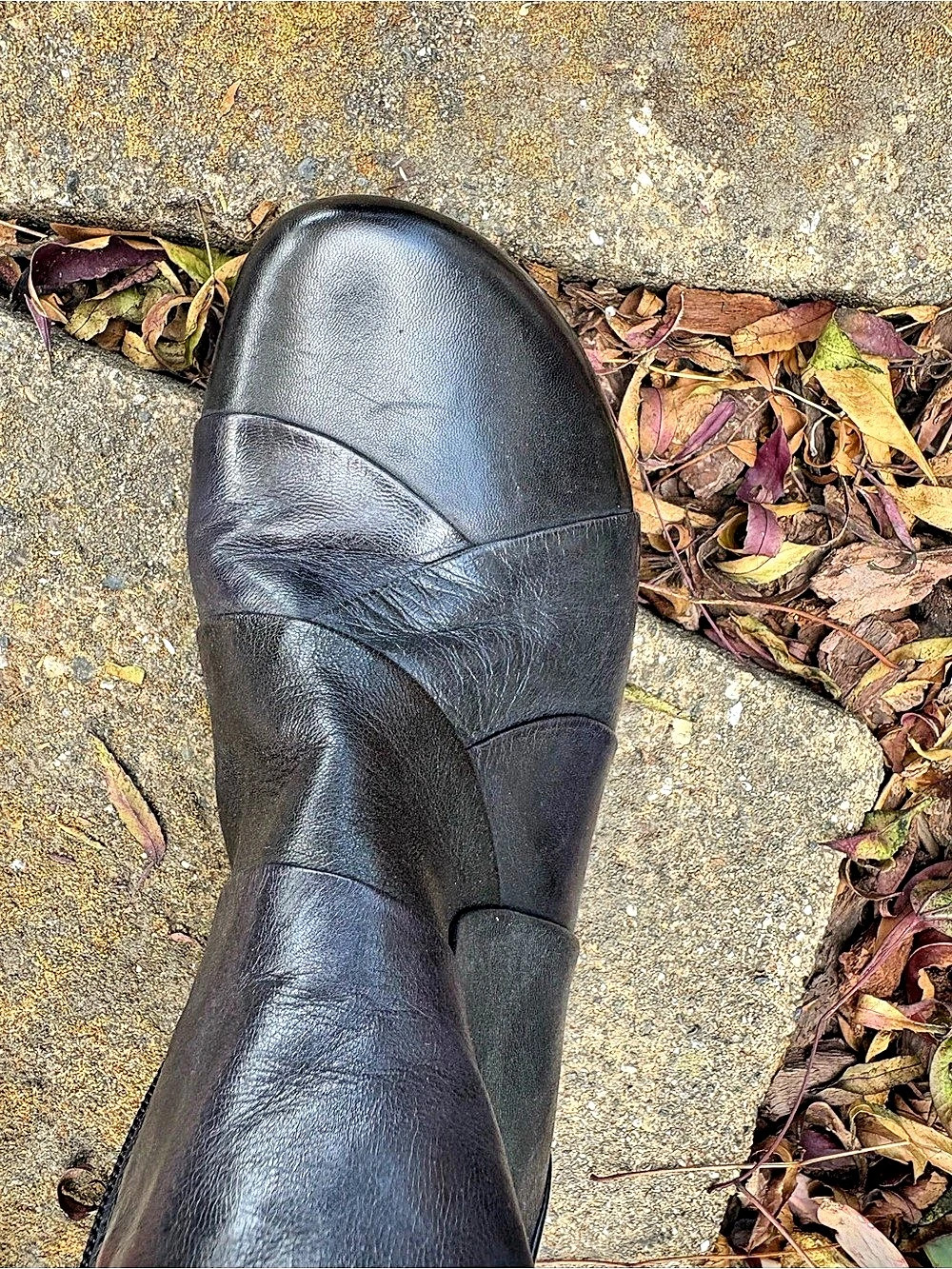 Regarde Le Ciel Black Leather Ankle Boots EU 38